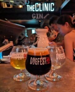 Small goblets of beer on the counter in DOGFEST branded glasses at Hair of the Dog craft beer bar in Bangkok Thailand.