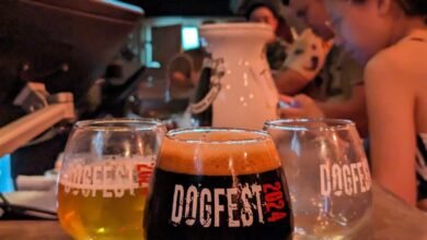 Small goblets of beer on the counter in DOGFEST branded glasses at Hair of the Dog craft beer bar in Bangkok Thailand.