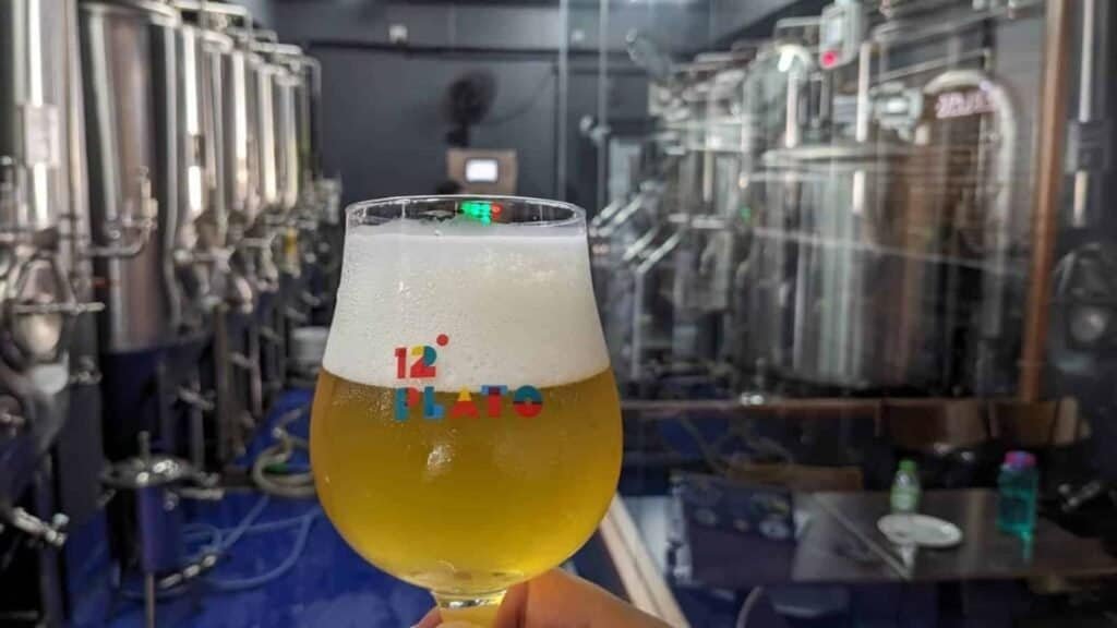 picture of beer at 12 Plato for Brewing Trends & Untrendy Beers