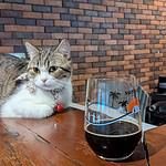 ฉ่ำ Charm Bar & Bistro Bangkok Thailand