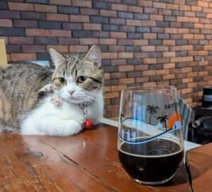 ฉ่ำ Charm Bar & Bistro Bangkok Thailand