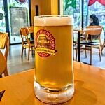 Mug of beer at Bao Cafe Bao Cafe has Beer in Silom